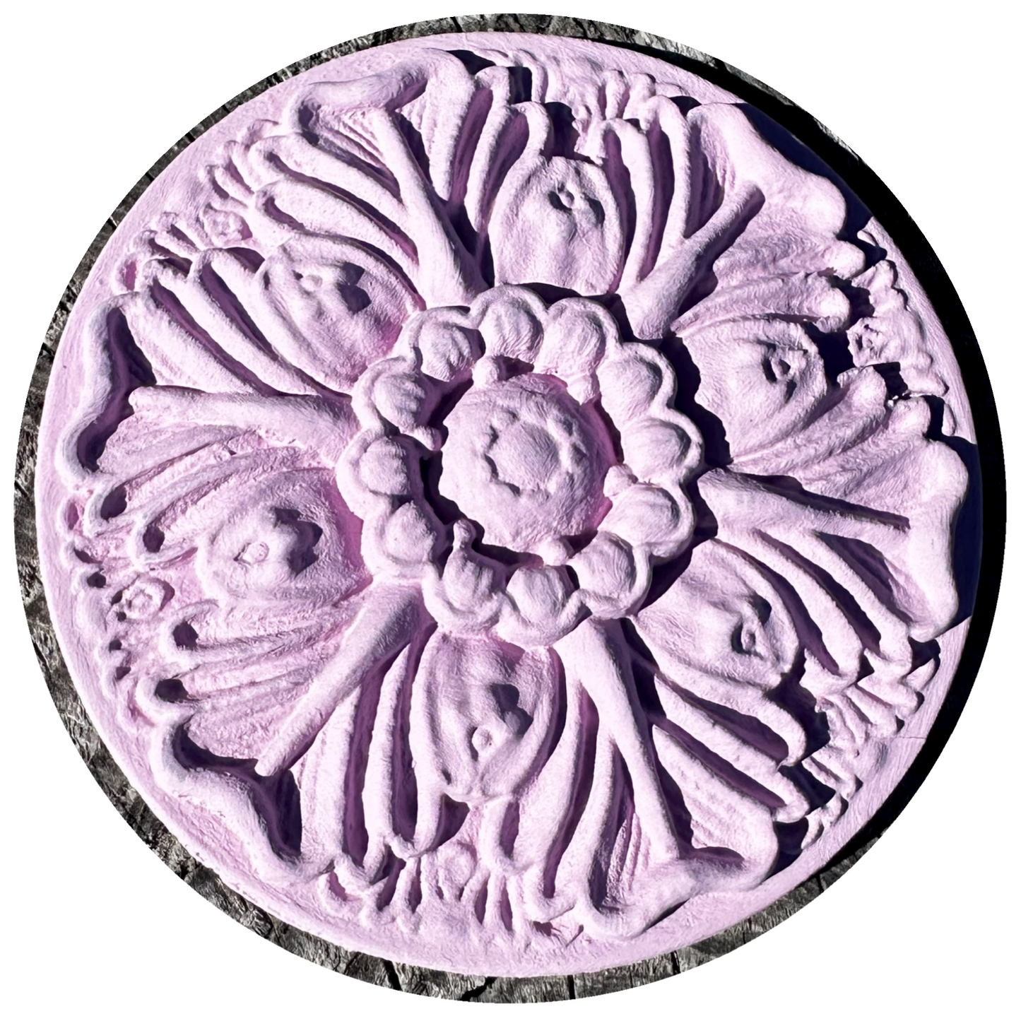 Floral Bloom