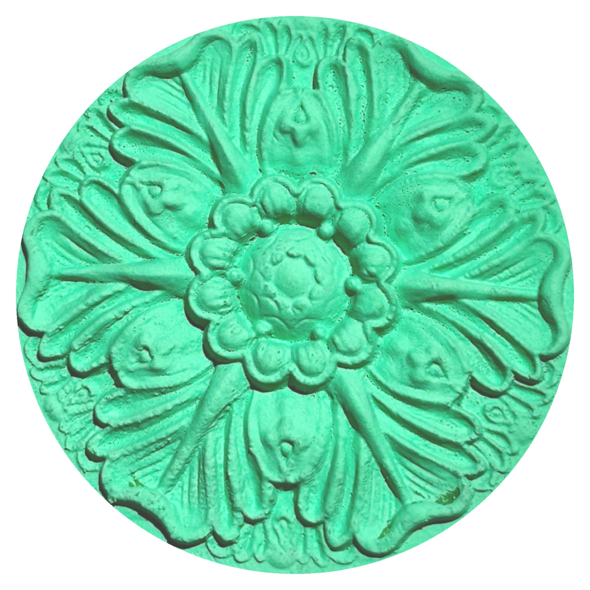Glowy Green ⭐️ BOGO