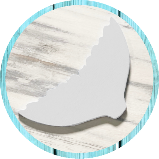 WhiteWash Secret 🐚 BOGO