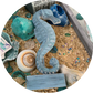 Ocean Storms ⭐️ BOGO